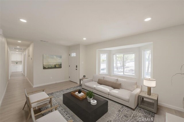 living room featuring light wood-type flooring