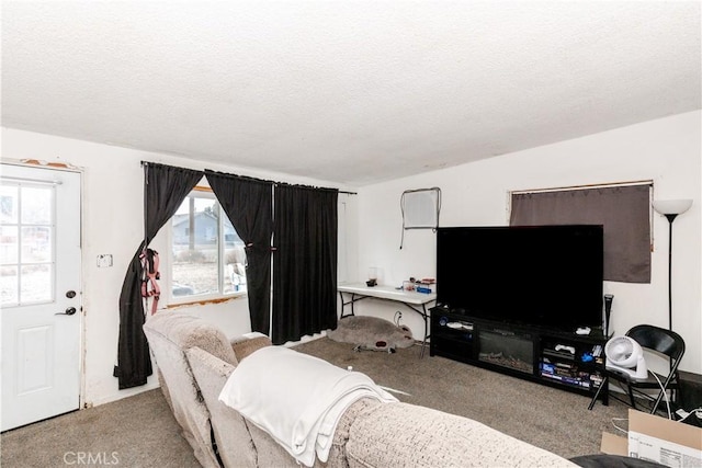 living room with light carpet and a textured ceiling