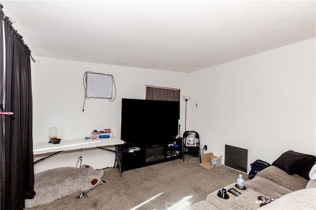 interior space featuring light colored carpet and a textured ceiling