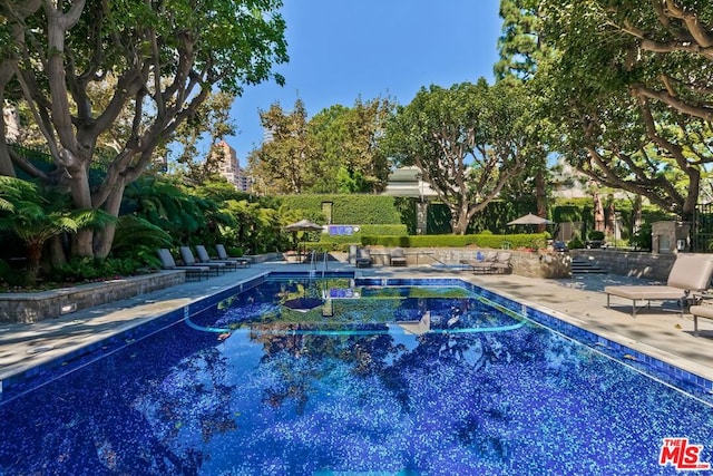 view of pool with a patio