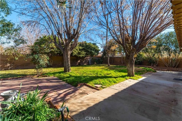 view of yard with a patio area