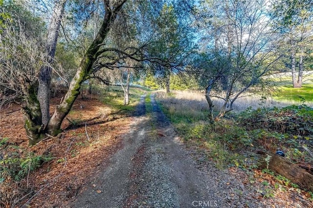 Listing photo 2 for 17748 Red Mule Rd, Fiddletown CA 95629