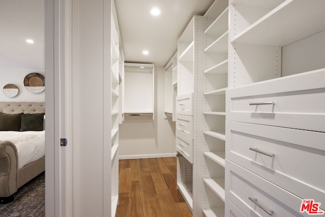 spacious closet featuring dark wood-type flooring