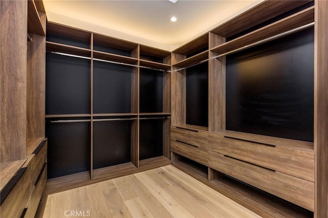 spacious closet with light wood-type flooring