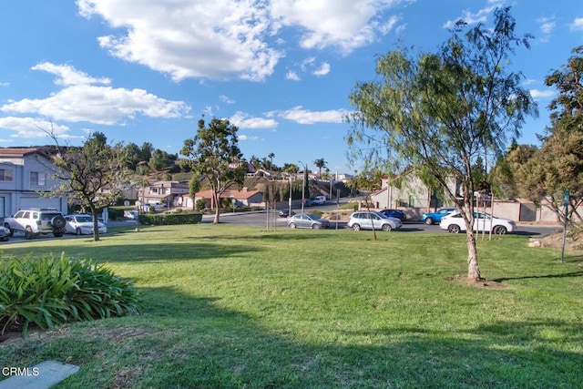 view of community featuring a lawn