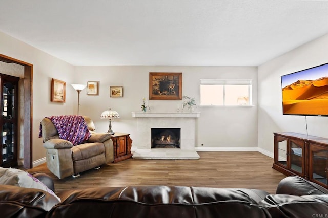 living room with hardwood / wood-style floors