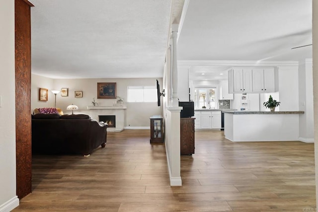 living room featuring hardwood / wood-style floors