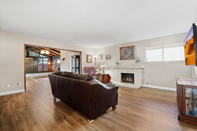 living room featuring wood-type flooring