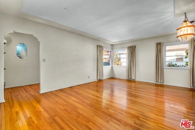 unfurnished room with a healthy amount of sunlight and light hardwood / wood-style flooring