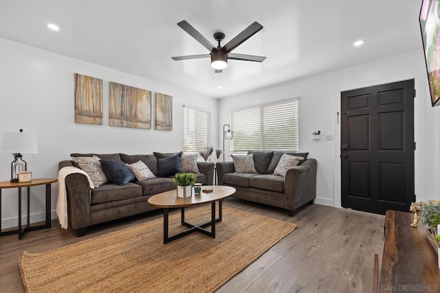 living room featuring ceiling fan and hardwood / wood-style flooring