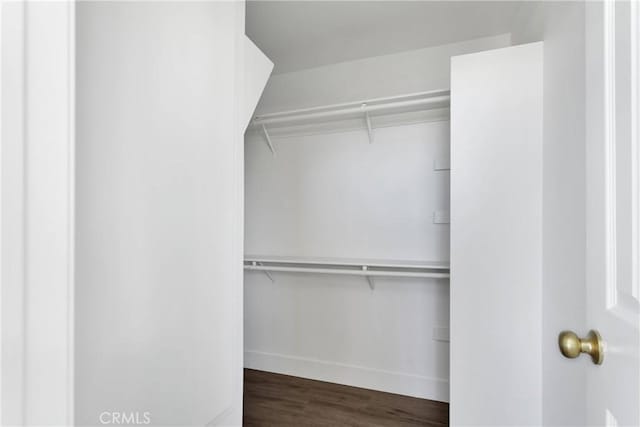 walk in closet with dark wood-type flooring