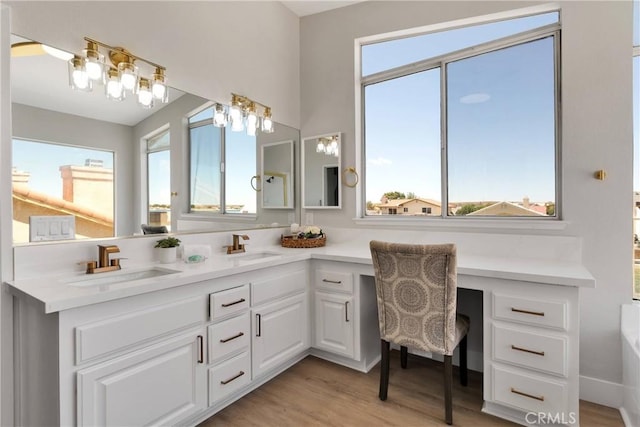 bathroom with hardwood / wood-style floors and vanity