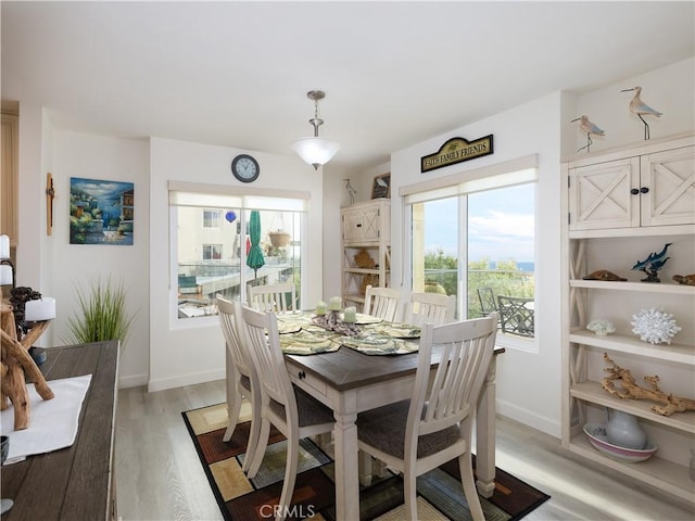 dining area featuring light hardwood / wood-style flooring