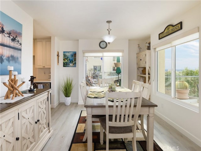 dining space with light hardwood / wood-style floors