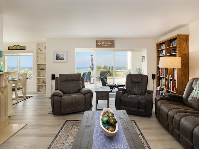 living room with light hardwood / wood-style floors and a healthy amount of sunlight