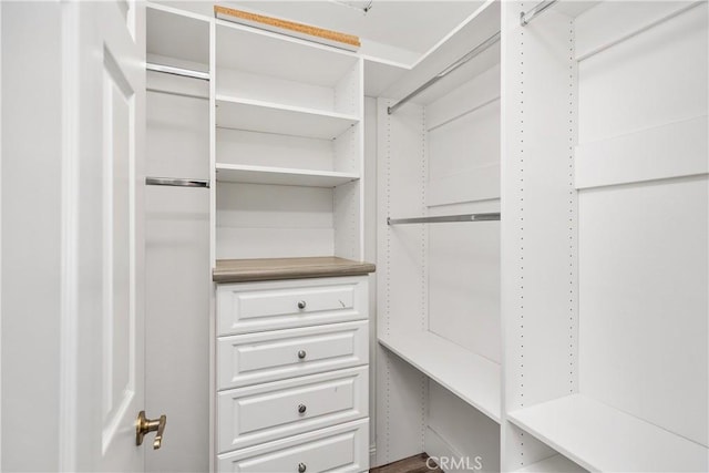 view of spacious closet