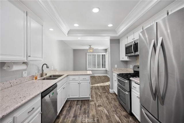 kitchen with kitchen peninsula, sink, a tray ceiling, white cabinetry, and stainless steel appliances