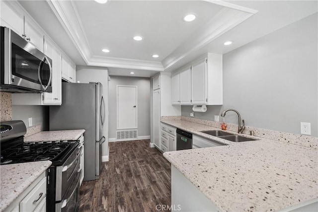 kitchen featuring a raised ceiling, sink, stainless steel appliances, ornamental molding, and white cabinets