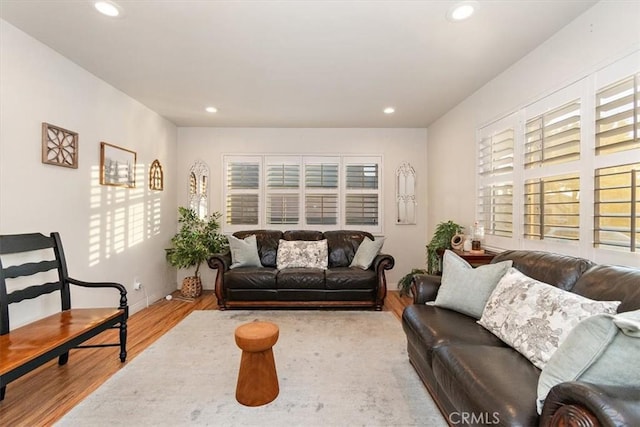 living room featuring light wood-type flooring