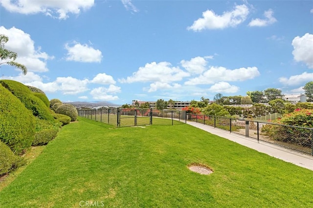 33611 Dana Vista Dr Unit 31, Dana Point, CA 92629 - view of yard