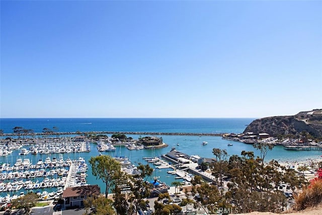 33611 Dana Vista Dr Unit 31, Dana Point, CA 92629 - water view with numerous boat docks
