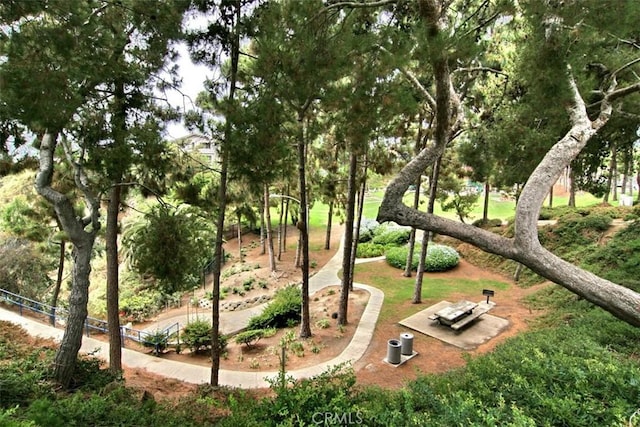 33611 Dana Vista Dr Unit 31, Dana Point, CA 92629 - surrounding community