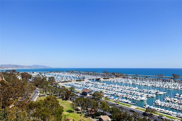 33611 Dana Vista Dr Unit 31, Dana Point, CA 92629 - bird's eye view of numerous boat docks and a nearby body of water