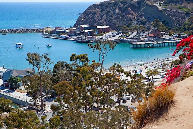 33611 Dana Vista Dr Unit 31, Dana Point, CA 92629 - water view featuring a mountain backdrop