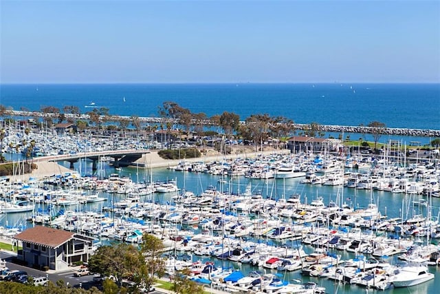 33611 Dana Vista Dr Unit 31, Dana Point, CA 92629 - water view with numerous boat docks