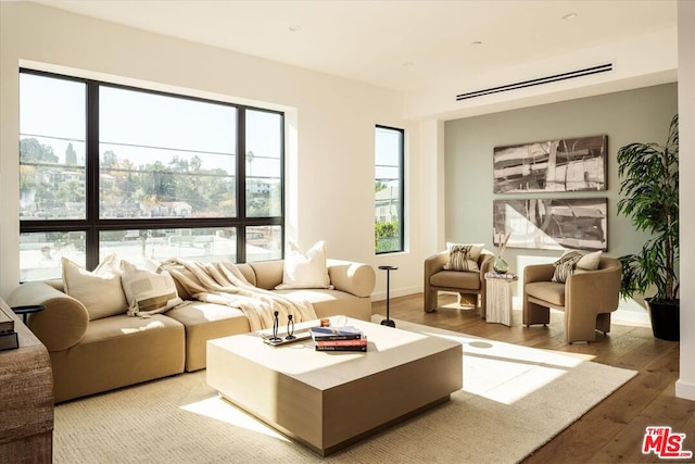 living room with wood-type flooring