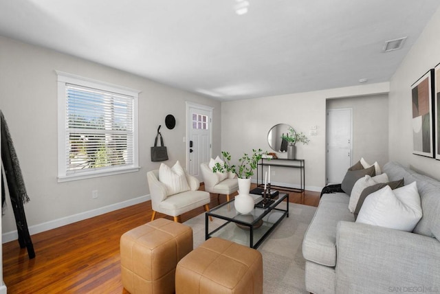 living room featuring wood-type flooring