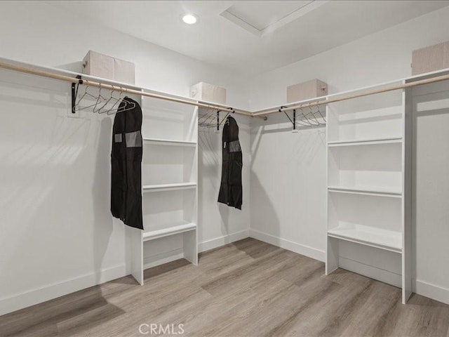 spacious closet featuring light hardwood / wood-style floors