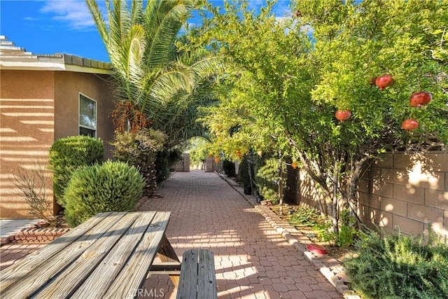 view of community featuring a patio