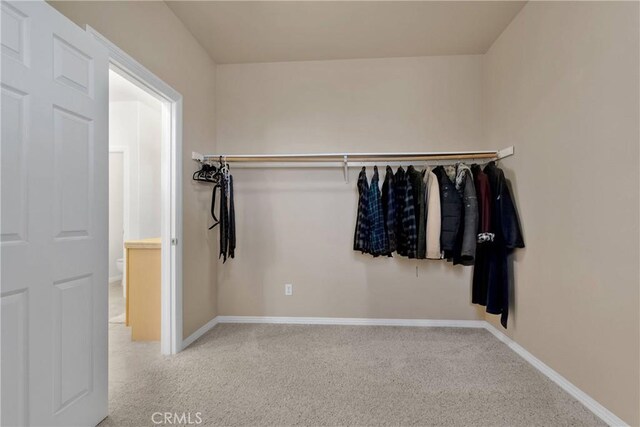 view of walk in closet