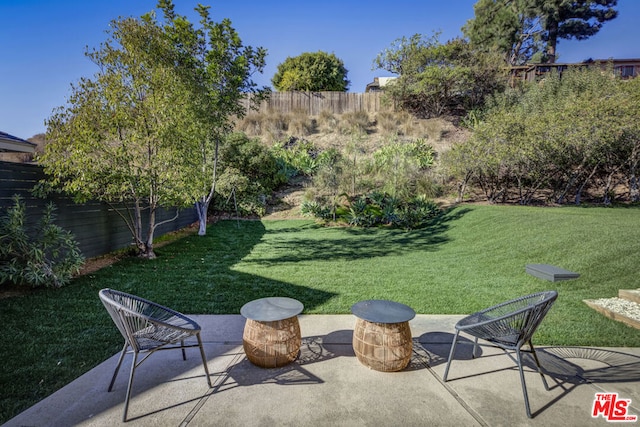 view of yard with a patio area