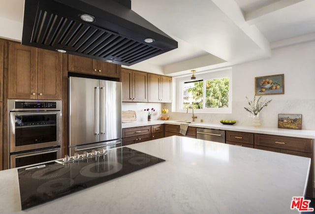 kitchen with range hood, appliances with stainless steel finishes, and sink