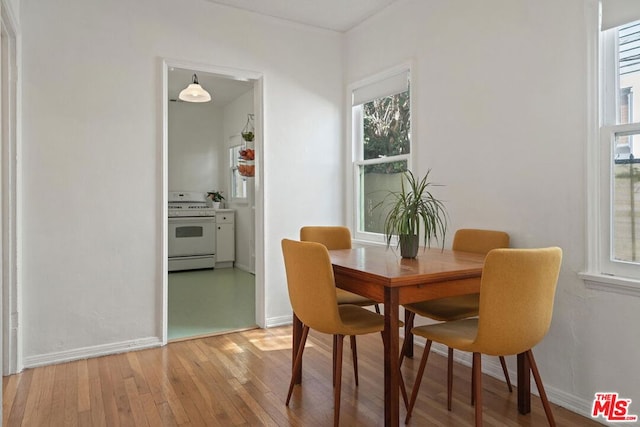 dining room featuring light hardwood / wood-style floors