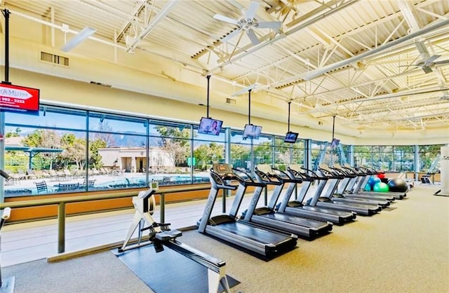 exercise room with ceiling fan and carpet flooring