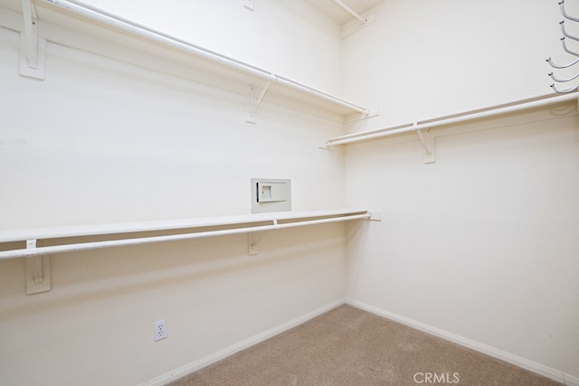 spacious closet with carpet flooring