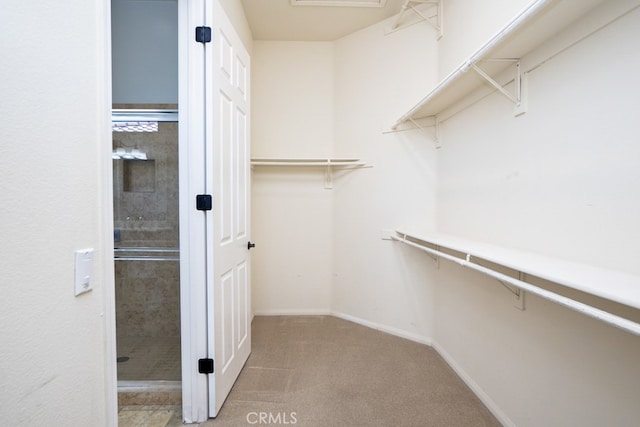 walk in closet with carpet