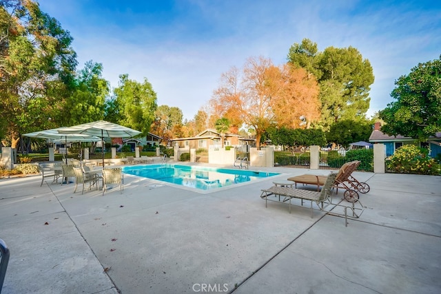 view of swimming pool with a patio