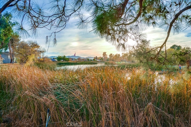 nature at dusk with a water view