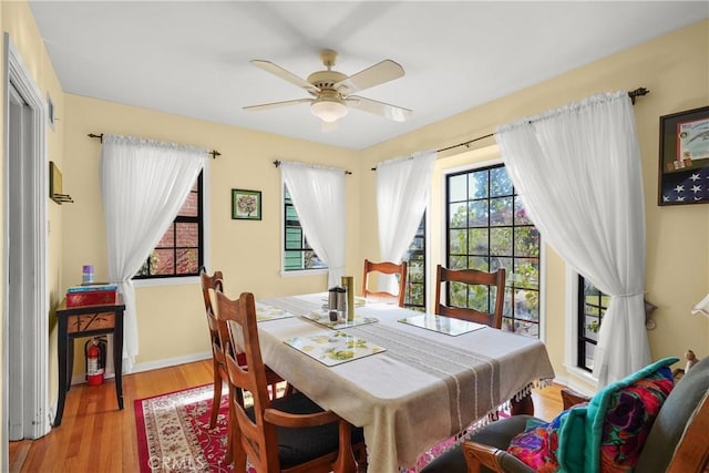 dining room with ceiling fan and light hardwood / wood-style flooring