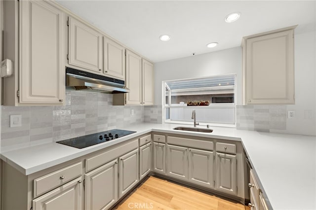 kitchen featuring light hardwood / wood-style floors, gray cabinetry, black electric cooktop, backsplash, and sink