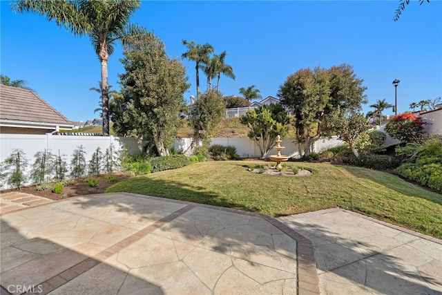 view of yard with a patio area