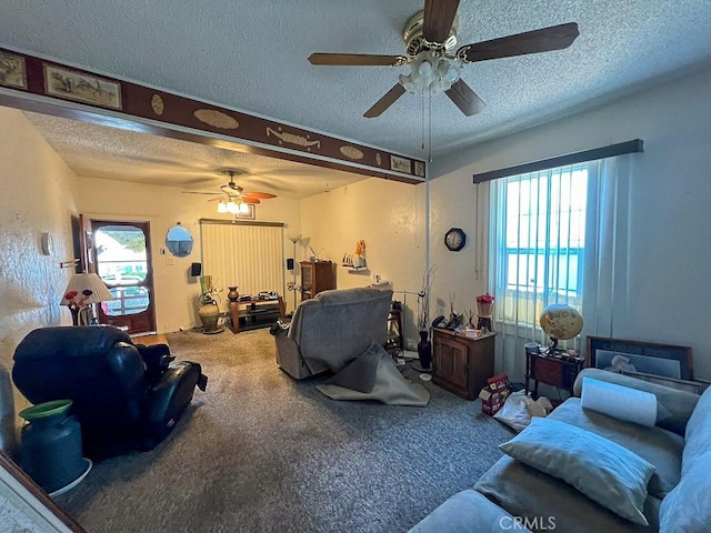 carpeted living room with a textured ceiling