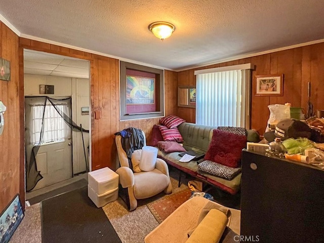 interior space featuring crown molding, carpet, a textured ceiling, and wooden walls