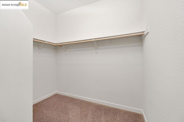 spacious closet with carpet floors