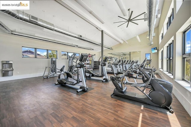 gym with ceiling fan, a wealth of natural light, dark hardwood / wood-style flooring, and high vaulted ceiling