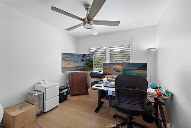 office space with ceiling fan and light hardwood / wood-style floors